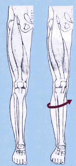 knee-rotation